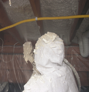 Forth Worth TX crawl space insulation
